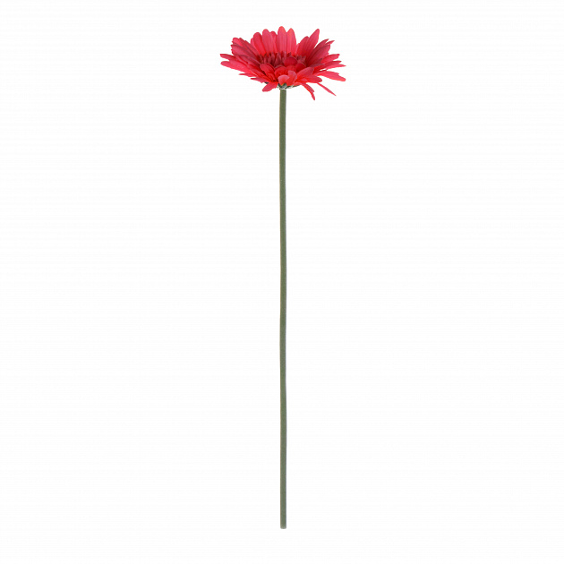 Цветок искусственный Гербера 55см красная 000000000001221559