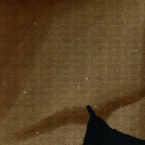 Набор полотенец 2шт Этель Тропики 100% хлопок 000000000001206642