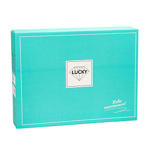 Комплект постельного белья 2-спальное Пейсли (175х215,200х220,50х70-2шт) поплин хлопок 100% 000000000001214247