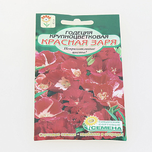 Семена Годеция Красная заря крупноцветковая 0,2гр (ссс)ЛИДЕР ПРОДАЖ!! СС013948 пакет 000000000001194779