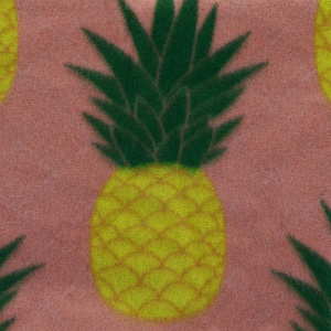 Коврик для пикника 120х150см  ИУАнанас полиэстер R020213 000000000001175921