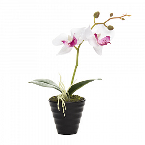 Цветок искусственный "Орхидея" 23см R010818 000000000001196700