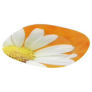 Столовый набор Ромашка Оранж Luminarc, 19 предметов 000000000001062133