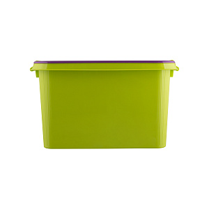 Ящик для игрушек 36л ПОЛИМЕРБЫТ FUNNY KIDS с крышкой пластик 000000000001213085