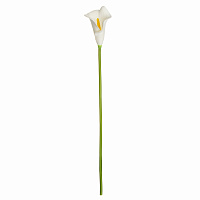 Цветок искусственный Калла 36,5см белая 000000000001218389