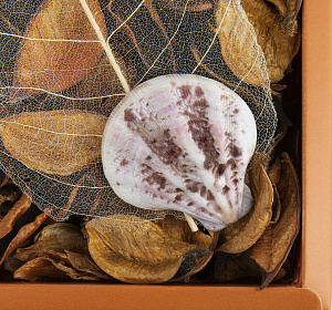 Отдушка цветочная 23см 000000000001216405