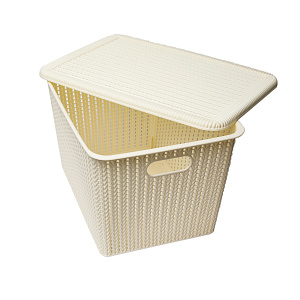 Корзина для хранения 37х26х22,3см с крышкой бежевый пластик 000000000001177294
