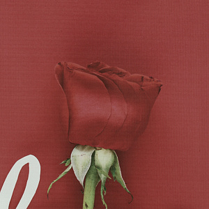 Картина на холсте 46х46. Экологически чистые краски и материалы, а также высококачественная печать делают изображение ярким и красоч 000000000001195656