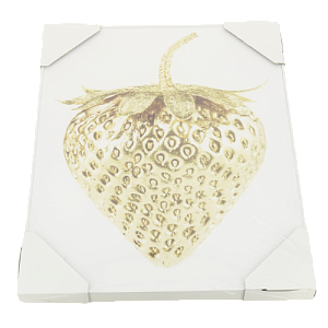 Репродукция 40х50см Декарт (1) мдф в7 8Л0934 000000000001205353