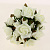 Цветок искусственный "Роза" 19 бутонов 23см R010760 000000000001196706