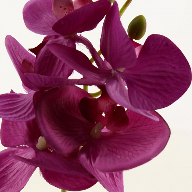 Цветок искусственный "Орхидея" 37см R010822 000000000001196702