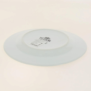 TUDOR Тарелка десертная 20см  с платиновым кантом,TUM8000P 000000000001193744