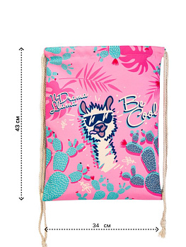 Сумка мешок 34х43см до 10кг LAMA BE COOL полиэстер 000000000001227603