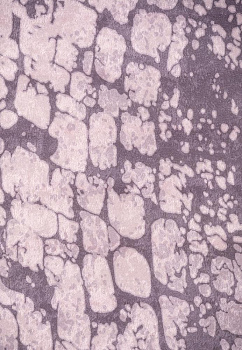 Коврик универсальный 80x150см LUCKY Питон коричневый 100% полиэстер 000000000001211050