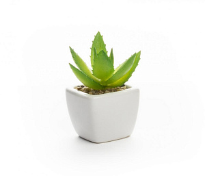 Цветок искусственный "Суккулент" 9смR010441 000000000001189306