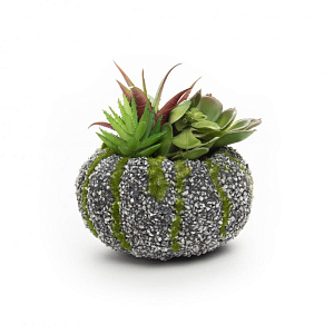 Цветок искусственный "Суккулент"11смR010443 000000000001189308