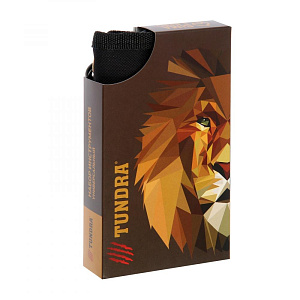 Набор инструментов 19 предметов TUNDRA подарочный чехол с карабином металл 000000000001211079