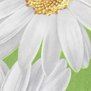 Комплект постельного белья 1,5-спальный ЭЛЬФ Нежность простыня 145х215см пододеяльник 143х215см наволочки2шт-70х70см полиэстер 100% 000000000001206586