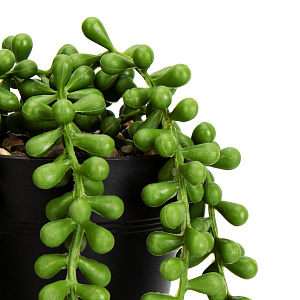 Цветок искусственный ампельное растение Крестовник Роули 40см в горшке 000000000001218519