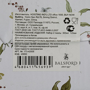 Набор пиал 2шт 12см/300мл BALSFORD Теодора подарочная упаковка фарфор 000000000001203961