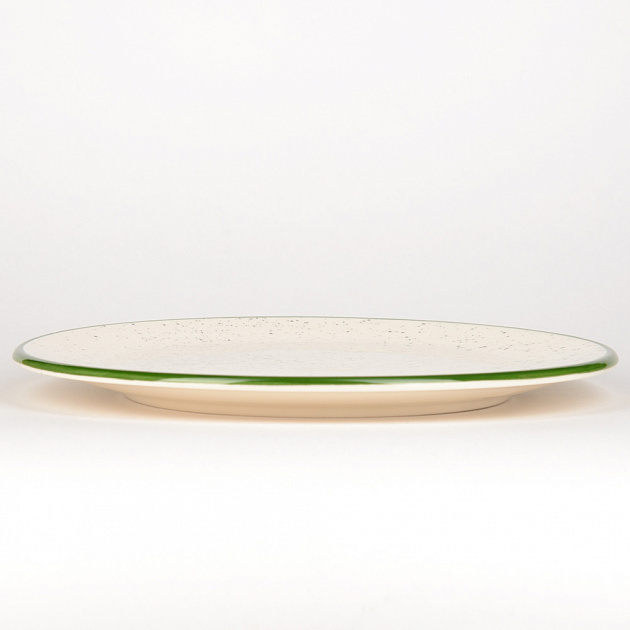 Тарелка обеденная 25см CERA TALE Splash Green керамика глазурованная 000000000001210092