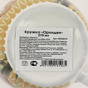 Кружка 270мл Орхидея R030810 000000000001179365