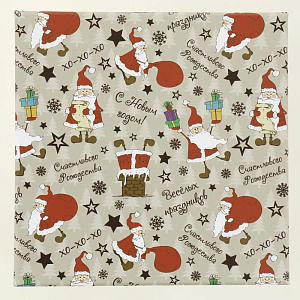 Коробка подарочная 19x19x9см РУТАУПАК Веселый Санта квадратная 000000000001208362