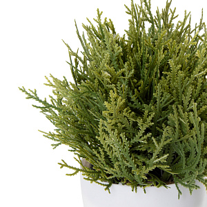 Цветок искусственный растение Туя 22см в горшке 000000000001218469