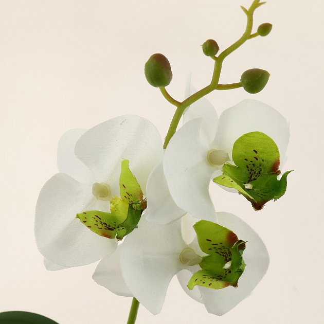 Цветок искусственный "Орхидея" 28см R010820 000000000001196718