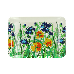 Поднос Калифорния Мультидом, 42?30 см, пластик 000000000001126936