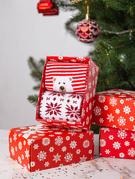 Носки женские подарочные 2 пары р.36-39 LUCKY дизайн2 коричневый/красный/синий 000000000001209518