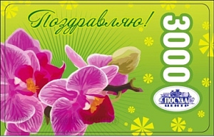 Подарочная карта Поздравляем, 3000  рублей 000000000007000174