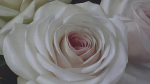 Репродукция 60х90см ДЕКАРТ д8С0028 000000000001162699