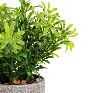 Цветок искусственный растение Хвойное 23см в горшке 000000000001218491