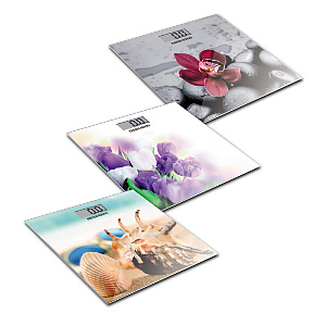 Весы напольные REDMOND RS-733 электронные 000000000001157174