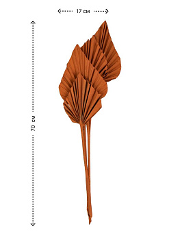 Сухоцветы 17x4x70см DE'NASTIA Лист пальмовый микс цветов 000000000001228198