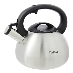 Чайник для газа 2,5л TEFAL нержавеющая сталь C7921014 000000000001092169