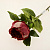 Цветок искусственный "Пион" 80см R010711 000000000001196624