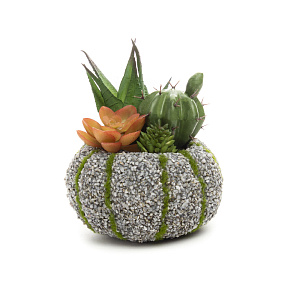 Цветок искусственный "Суккулент"11смR010443 000000000001189308