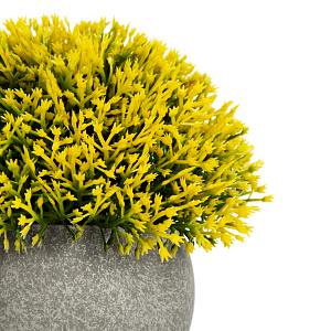 Цветок искусственный растение Хвойное 13см в горшке 000000000001218481