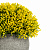 Цветок искусственный растение Хвойное 13см в горшке 000000000001218481