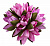 Цветок искусственный "Кувшинка" 5цветов 22см R010766 000000000001196724