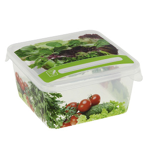 Емкость для хранения продуктов Браво Giaretti, 450мл 000000000001154002