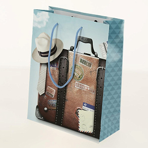 Подарочный бумажный пакет Премиум+, 22x17x10 см 000000000001036473