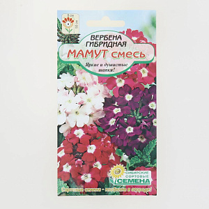 Семена Вербена Мамут, смесь гибридная 0,1гр (ссс) ЛИДЕР ПРОДАЖ! СС015005 пакет 000000000001183925