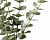 Цветок искусственный Ветка эвкалипта 90см 000000000001216385
