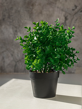 Цветок искусственный "Зелень" 24см R010804 000000000001197784