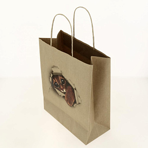 Сумка АРТ И ДИЗАЙН Крафт АВ бумажная 000000000001188938