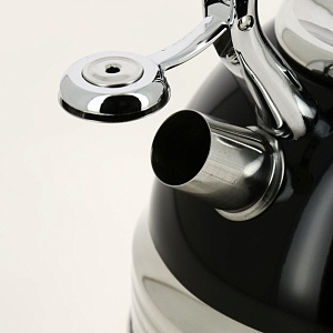 Чайник со свистком 3500мл GUTERWAHL нейлоновая ручка капсульное дно стенки корпуса 0,4мм дно 1,1мм подарочная упаковка нержавеющая сталь 126-18012 000000000001204050