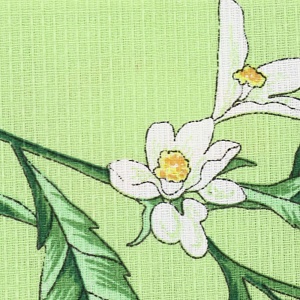 Полотенце вафельное 35х50см Collorista Лимоны 160гр оливковое 100%хлопок 000000000001206751